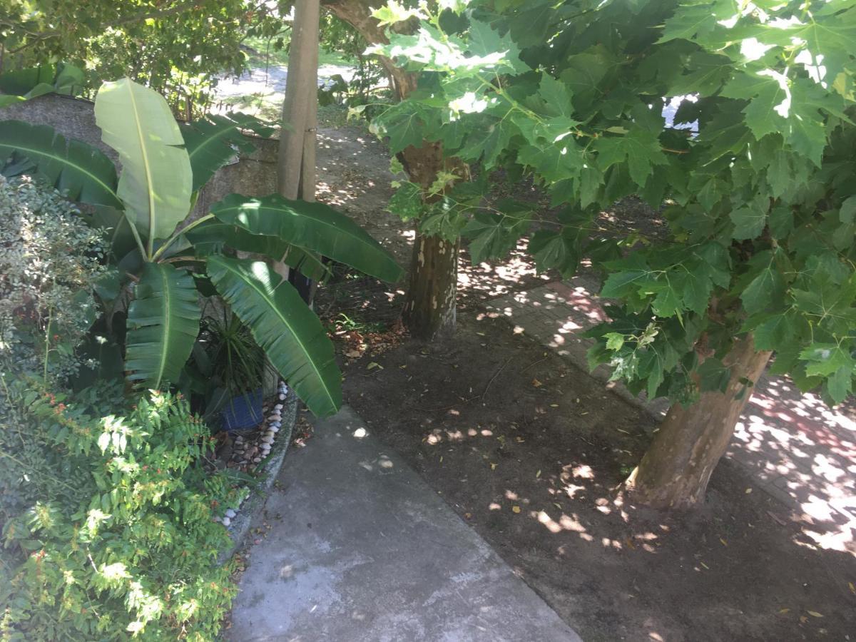 La Marea Inn Río Grande